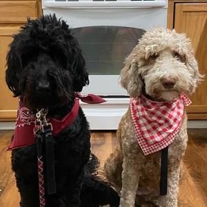 Meet your Posher, Beth